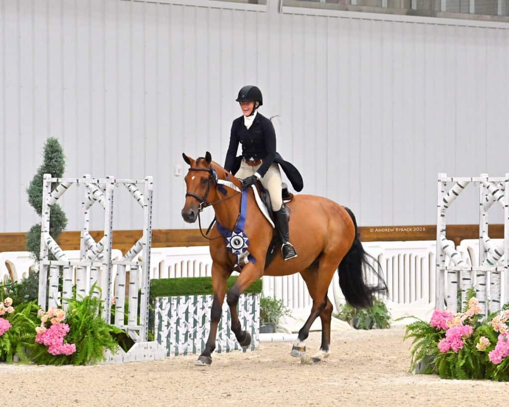 A rider in formal attire sits on a brown horse with a prize ribbon around its neck in an indoor equestrian arena decorated with plants and jumps.