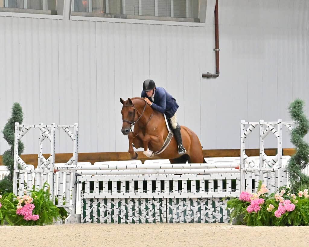 A rider in a blue jacket and helmet guides a brown horse over a white jump with flowers at an indoor equestrian event.