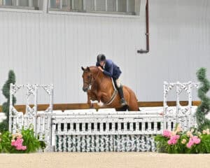 A rider in a blue jacket and helmet guides a brown horse over a white jump with flowers at an indoor equestrian event.