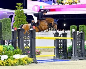 A rider in equestrian gear jumps a brown horse over a yellow-striped hurdle during a show jumping competition, with plants and barriers in the arena.