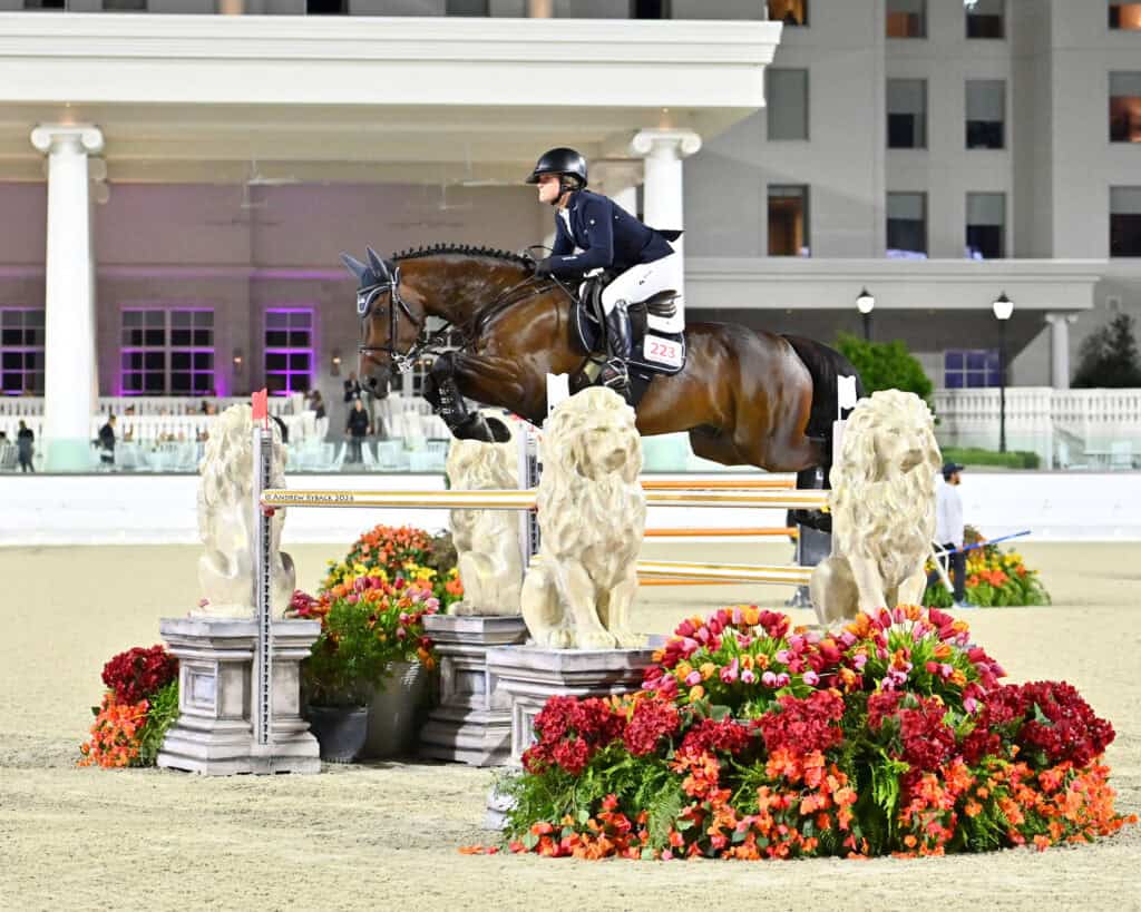 A rider in a black helmet and jacket jumps a dark horse over an obstacle decorated with lion statues and red flowers in an arena.