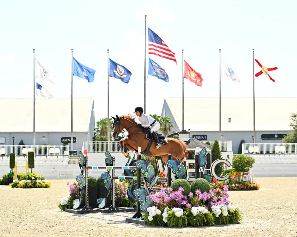 A rider on a brown horse jumps over a colorful obstacle at an outdoor equestrian event, with several flags and white buildings in the background.