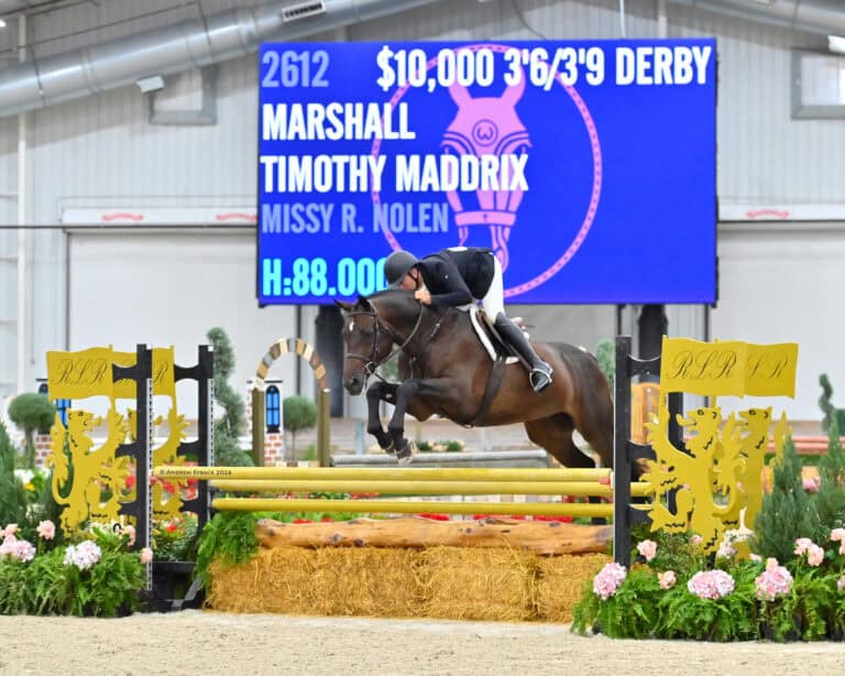 A rider in a black jacket jumps a horse over a yellow obstacle in an indoor arena, with a large scoreboard displaying event and competitor information in the background.