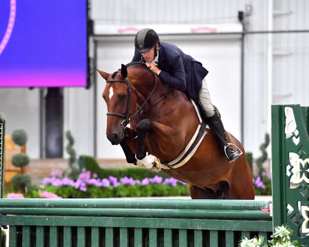A rider in a helmet and jacket jumps a brown horse over a green fence during an equestrian event.