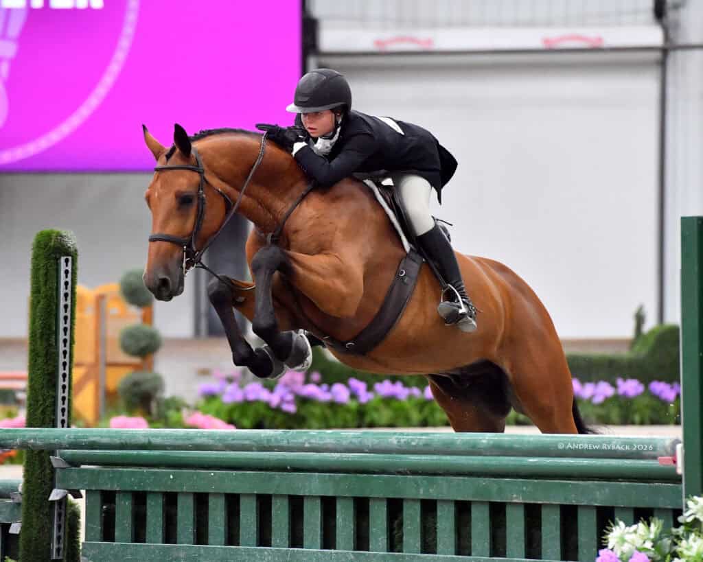Equestrian rider in black helmet and jacket guides a brown horse over a green jump during an indoor show jumping event.