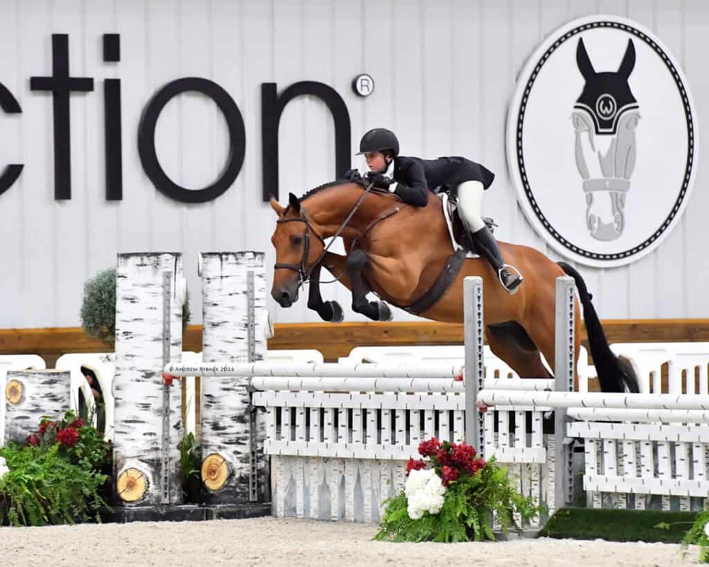 A rider in formal attire and helmet jumps a bay horse over an obstacle in an indoor equestrian arena with white fencing and decorative birch poles.