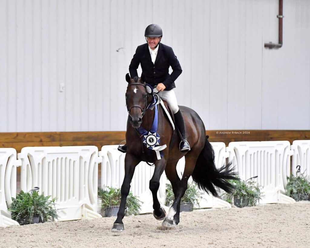 A rider in formal attire sits atop a dark horse wearing a large ribbon, indoors on a sandy arena, with white barriers and potted plants in the background.