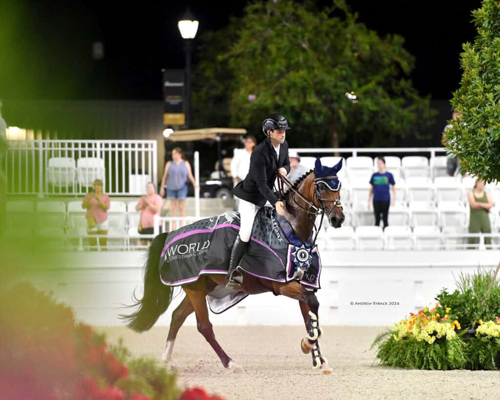 A rider in formal attire sits on a decorated horse in an arena at night. The stands have a few spectators, and foliage frames the foreground.