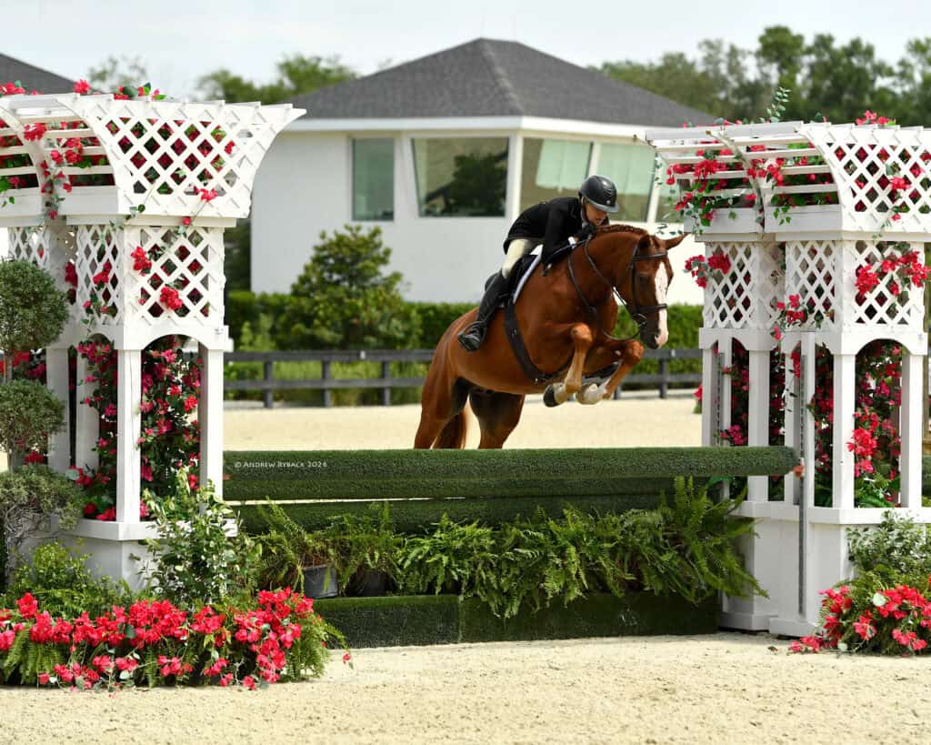 A rider on a chestnut horse jumps over a green and white obstacle decorated with flowers in an outdoor equestrian arena.