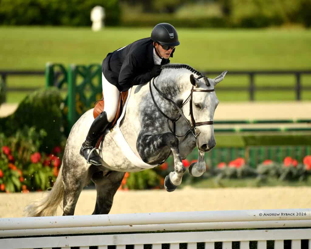 A rider in equestrian attire jumps a dapple gray horse over a white obstacle during a show jumping event outdoors.