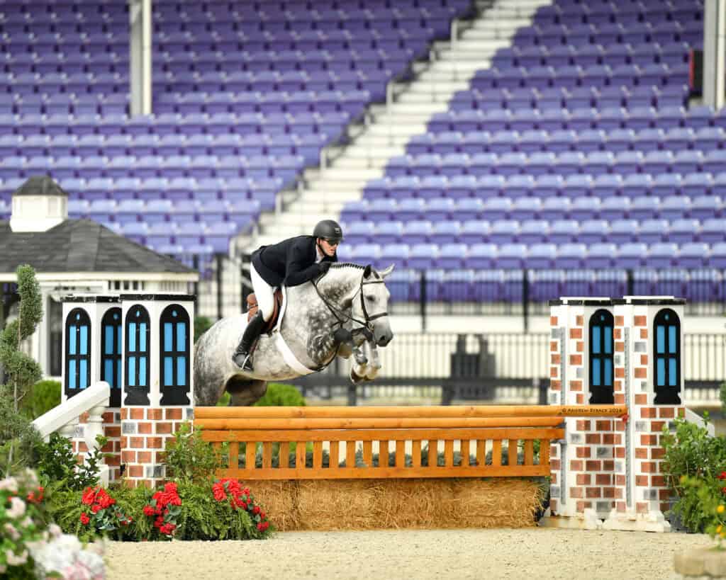 Equestrian rider in black attire jumps a gray horse over a brick and wood obstacle in an empty stadium with purple seats.
