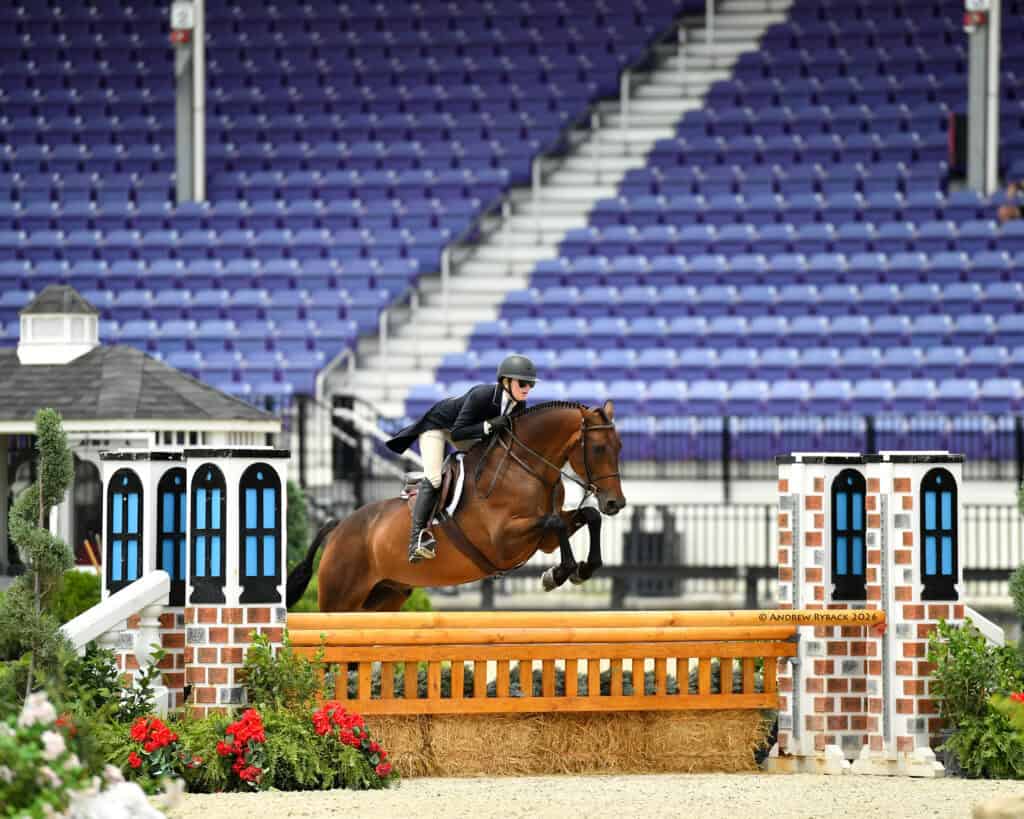 A rider in equestrian attire guides a brown horse over a jump during a show jumping competition in an empty stadium.