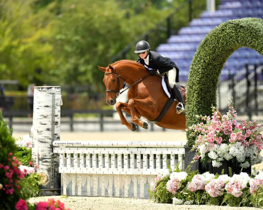 Equestrian rider in a black jacket and helmet jumps a chestnut horse over a white fence, surrounded by flowers and greenery, at an outdoor competition.