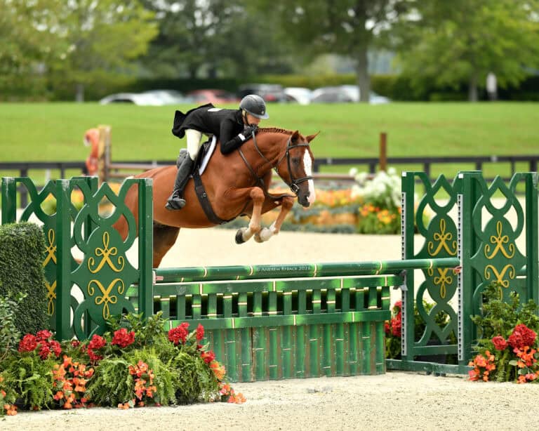 A rider on a brown horse jumps over a green and yellow obstacle during an outdoor equestrian event, with flowers and trees in the background.