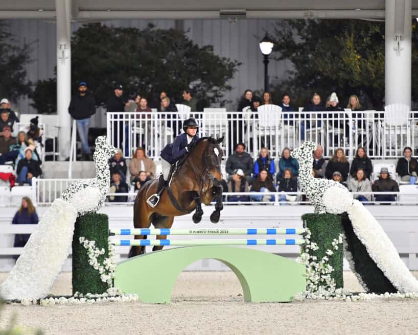 A rider in equestrian gear jumps a brown horse over a green and blue obstacle in an arena, with spectators seated in the background.
