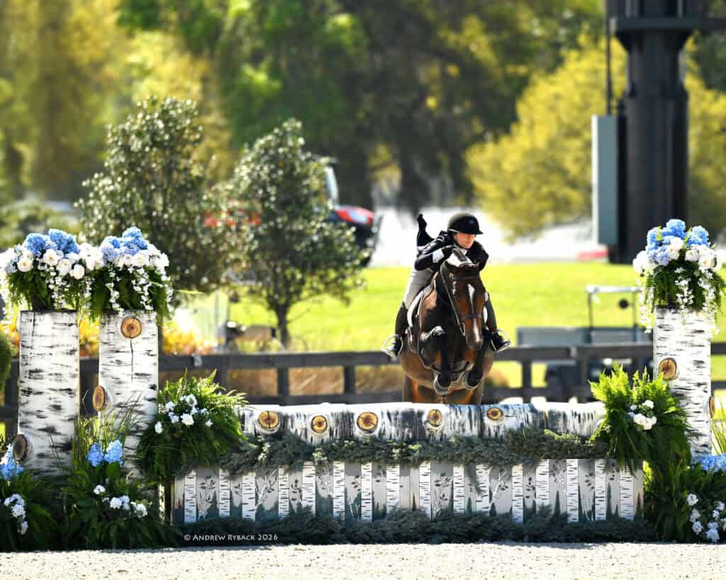 Equestrian rider and horse jump over a white birch-themed obstacle, surrounded by blue and white flower arrangements, outdoors on a sunny day.