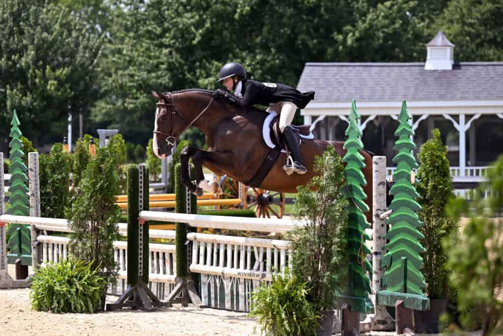 Equestrian rider wearing a helmet and jacket jumps a brown horse over a fence on an outdoor course surrounded by greenery and a white pavilion.