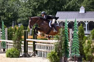 Equestrian rider wearing a helmet and jacket jumps a brown horse over a fence on an outdoor course surrounded by greenery and a white pavilion.