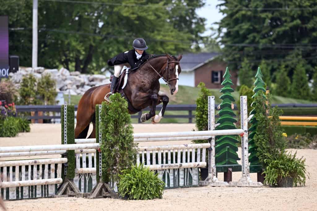 A person in riding gear jumps a brown horse over a tall obstacle during an outdoor equestrian event with greenery in the background.