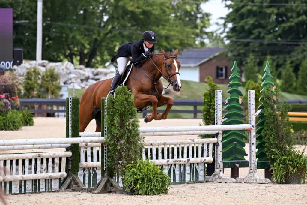 Equestrian rider in black attire guides a brown horse over a jump during a show jumping event on an outdoor arena.