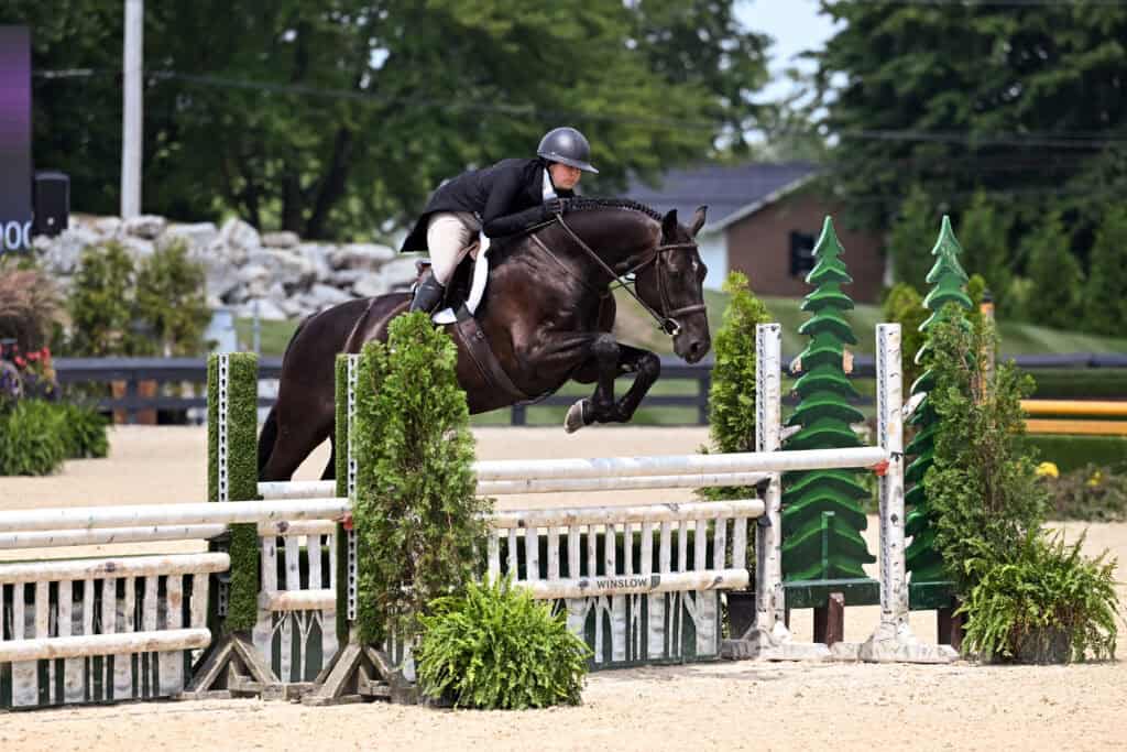 Equestrian rider in a black helmet and jacket jumps a dark horse over a wooden fence during an outdoor competition.