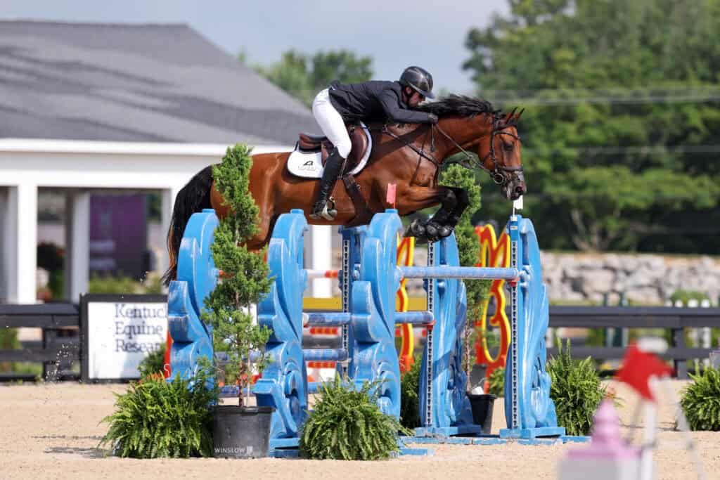 Equestrian rider in black attire jumps a brown horse over a blue obstacle during a show jumping competition at an outdoor arena.