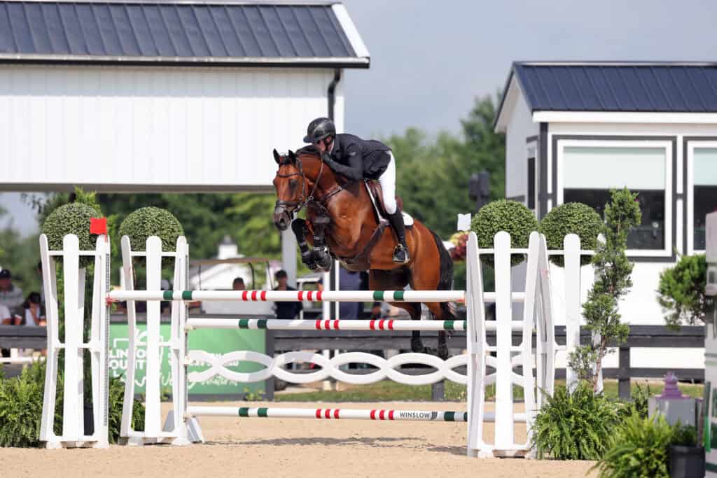 Equestrian rider in black attire and helmet jumps a brown horse over a white and red-striped obstacle at an outdoor competition.