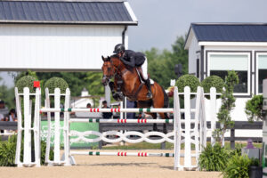 Equestrian rider in black attire and helmet jumps a brown horse over a white and red-striped obstacle at an outdoor competition.