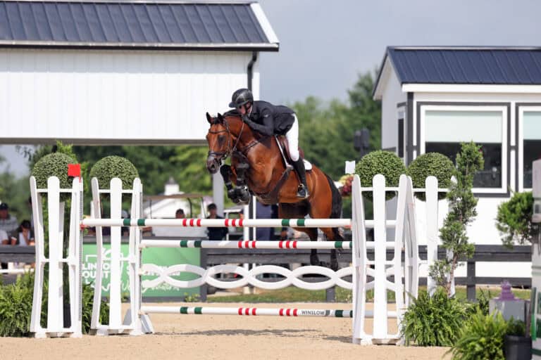 Equestrian rider in black attire and helmet jumps a brown horse over a white and red-striped obstacle at an outdoor competition.