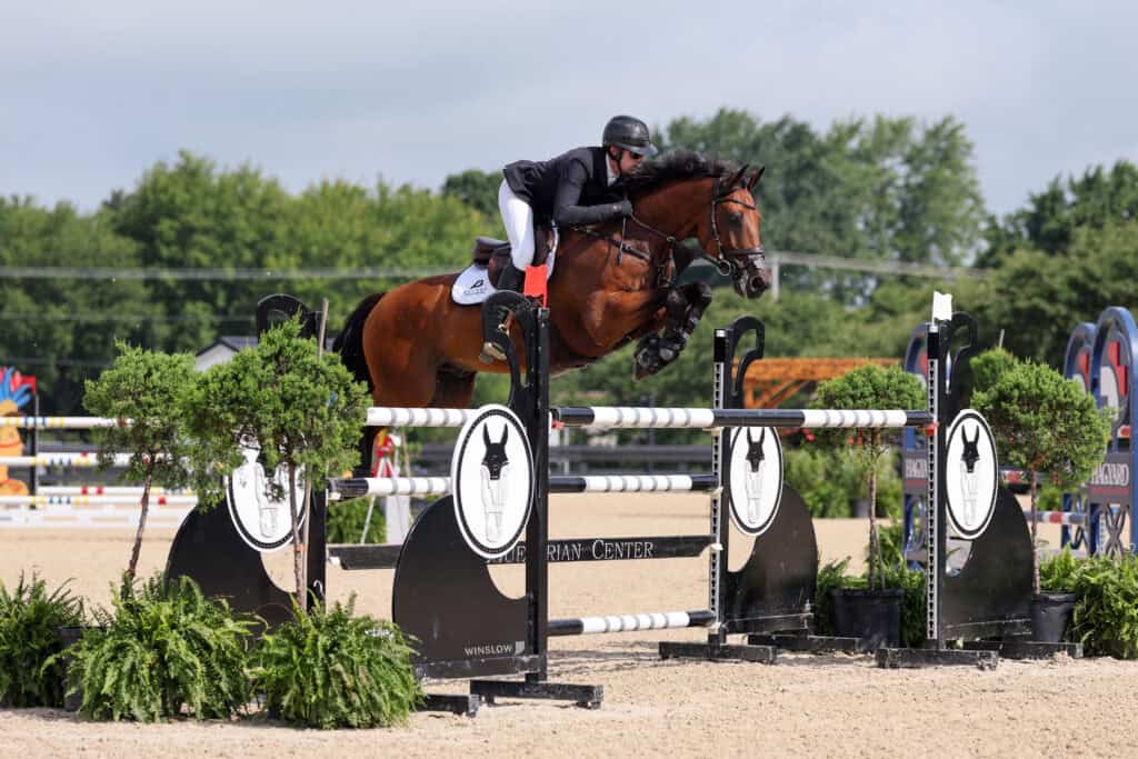 Equestrian rider on a bay horse jumps over a black and white obstacle during a show jumping competition outdoors.