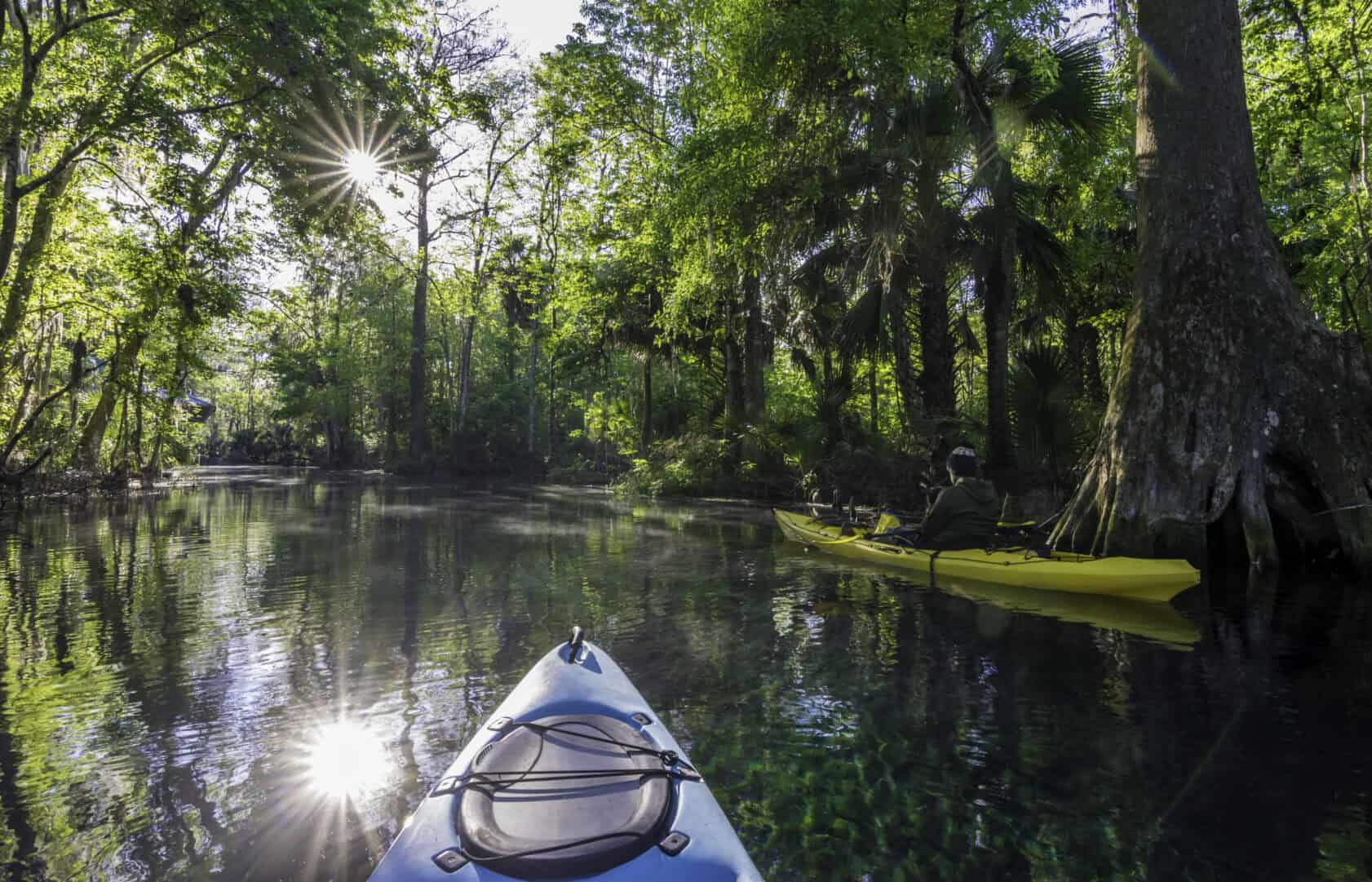 Two kayaks, one yellow and one blue, float on a calm river surrounded by lush green trees with sunlight filtering through the leaves.