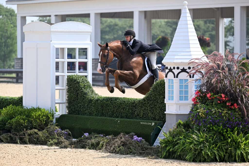 A rider in formal attire jumps a brown horse over a hedge obstacle during an equestrian competition in an outdoor arena.