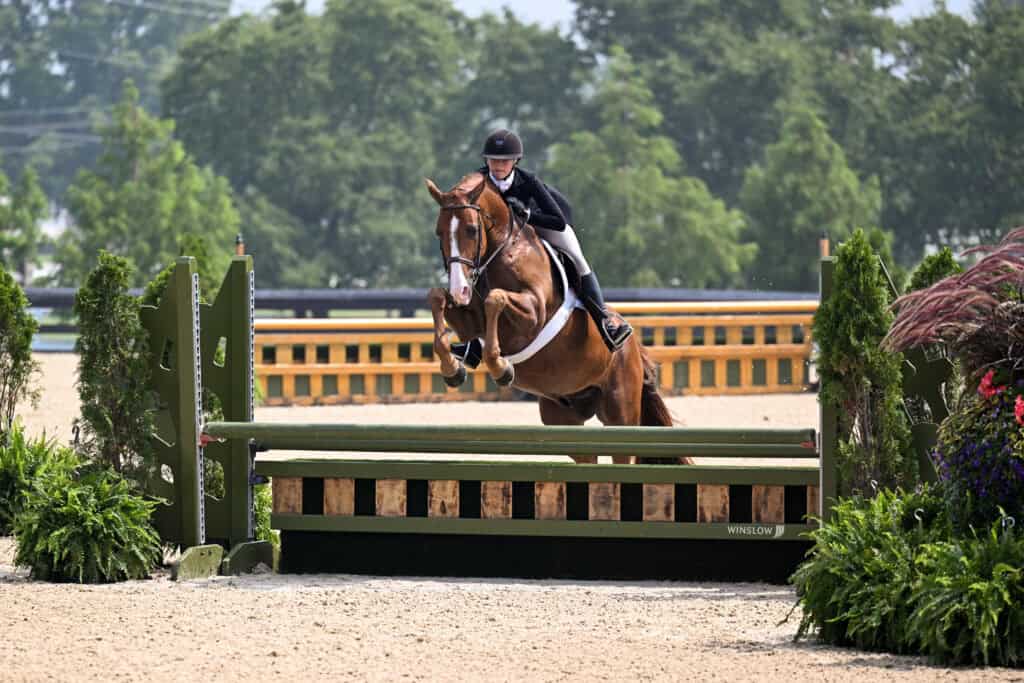 A rider wearing a helmet and jacket guides a horse over a green jump during an outdoor equestrian event. Trees and fencing are visible in the background.