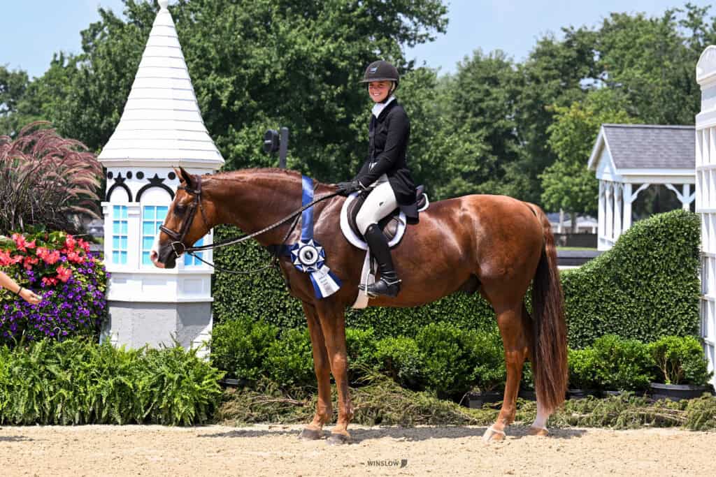 A rider in show attire sits on a chestnut horse wearing a blue ribbon, with greenery, flowers, and white structures in the background.