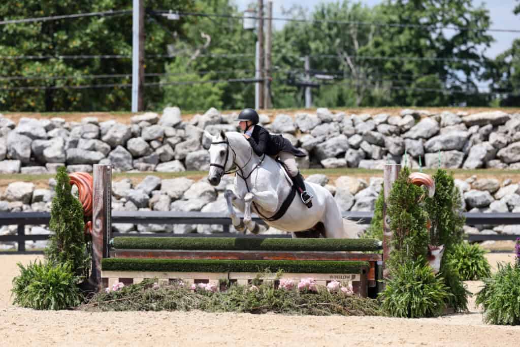 Equestrian rider in black attire jumps a white horse over a green and brown obstacle during an outdoor competition.