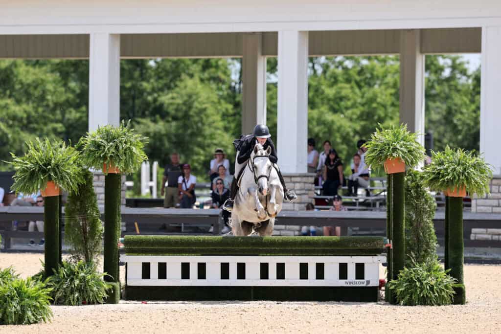 A rider in a black helmet and jacket jumps a gray horse over a green and white fence at an outdoor equestrian event, with spectators watching in the background.