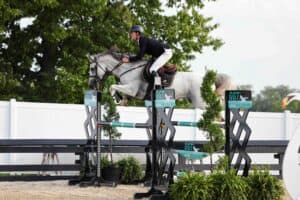 A person riding a gray horse jumps over an obstacle during an equestrian event, with trees and a white fence visible in the background.