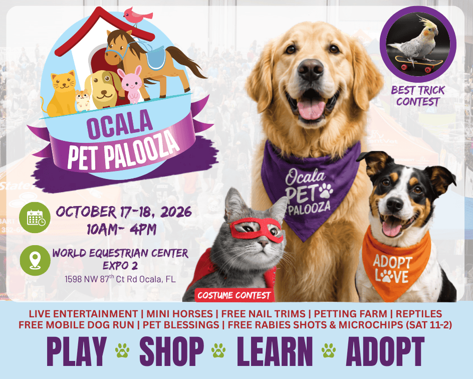 Colorful event flyer for Ocala Pet Palooza with images of pets, event dates, location, and information about activities such as contests, entertainment, adoptions, and free pet services.