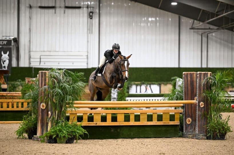 Equestrian rider wearing a helmet jumps a horse over a wooden obstacle in an indoor arena with plants on either side.