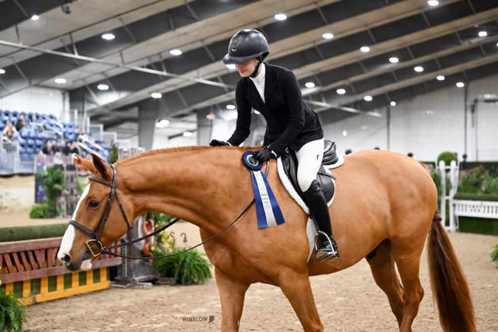 A rider in formal equestrian attire sits on a chestnut horse, holding a blue ribbon inside an indoor arena with jumps and spectators in the background.