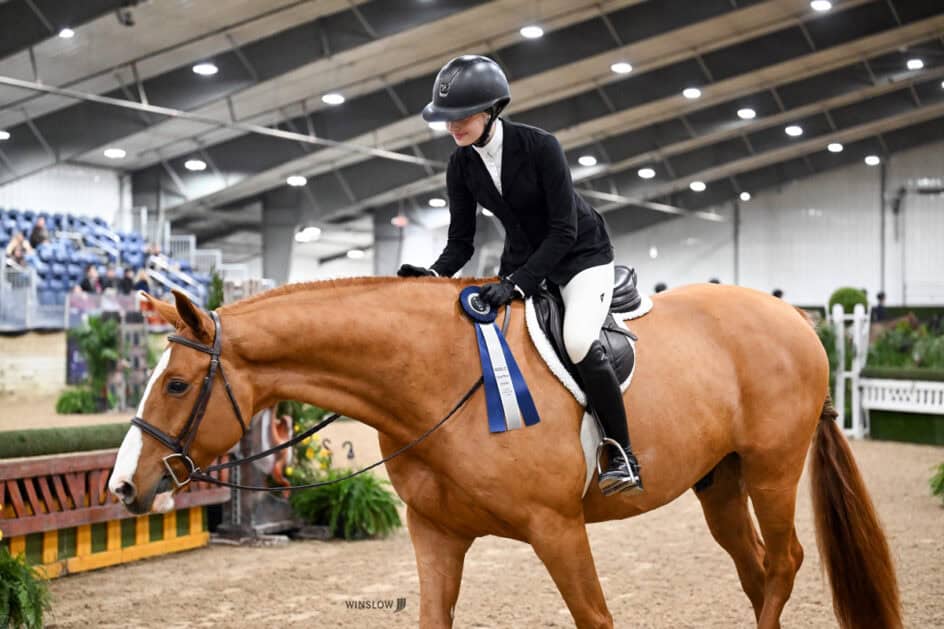 A rider in formal equestrian attire sits on a chestnut horse, holding a blue ribbon inside an indoor arena with jumps and spectators in the background.