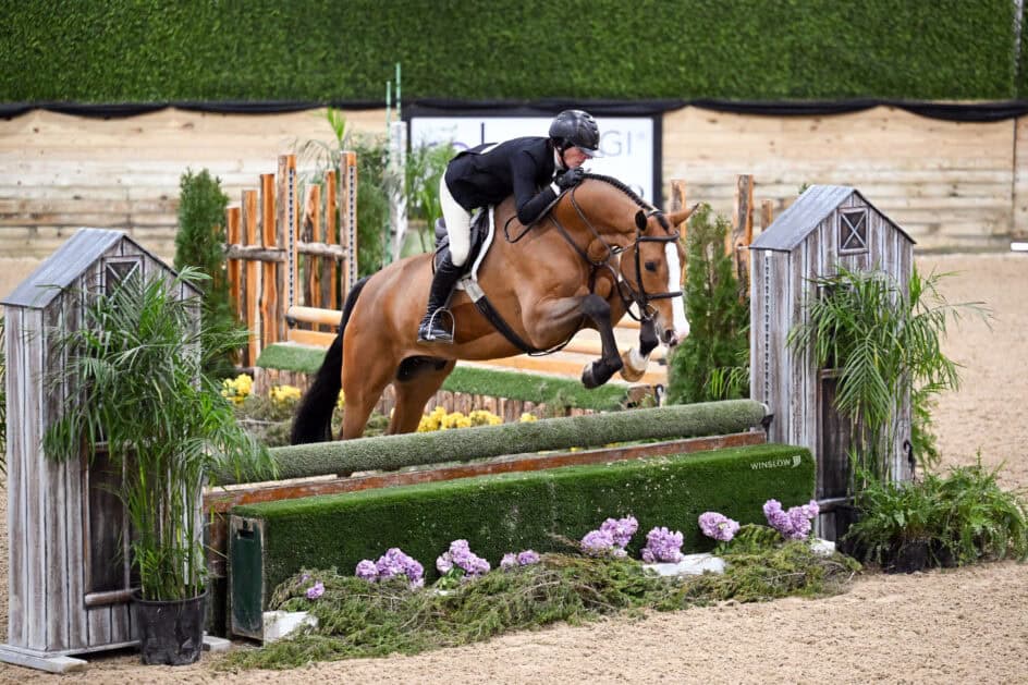 A rider in equestrian gear jumps a brown horse over a green obstacle during an indoor show jumping competition.