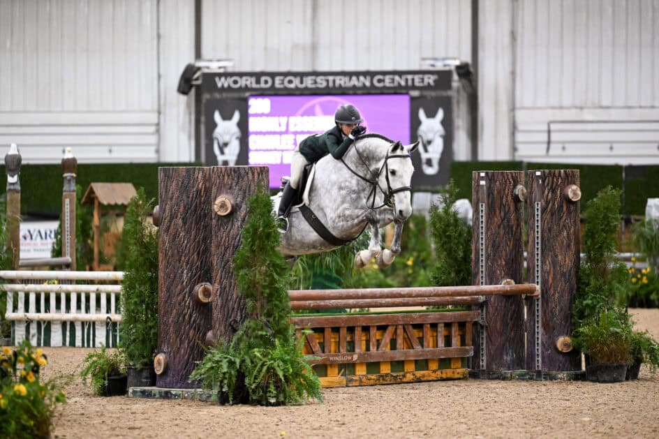 Equestrian rider on a gray horse jumps over an obstacle in an indoor arena with “World Equestrian Center” sign in the background.