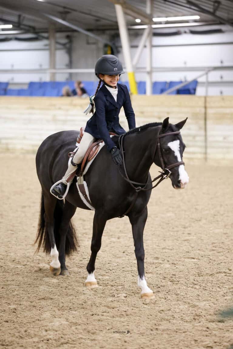 A rider in formal equestrian attire sits on a black horse with a white facial marking in an indoor arena.