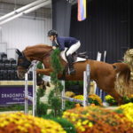 Equestrian rider on a brown horse jumps over an obstacle during an indoor show jumping competition. Flowers and decorations surround the arena.