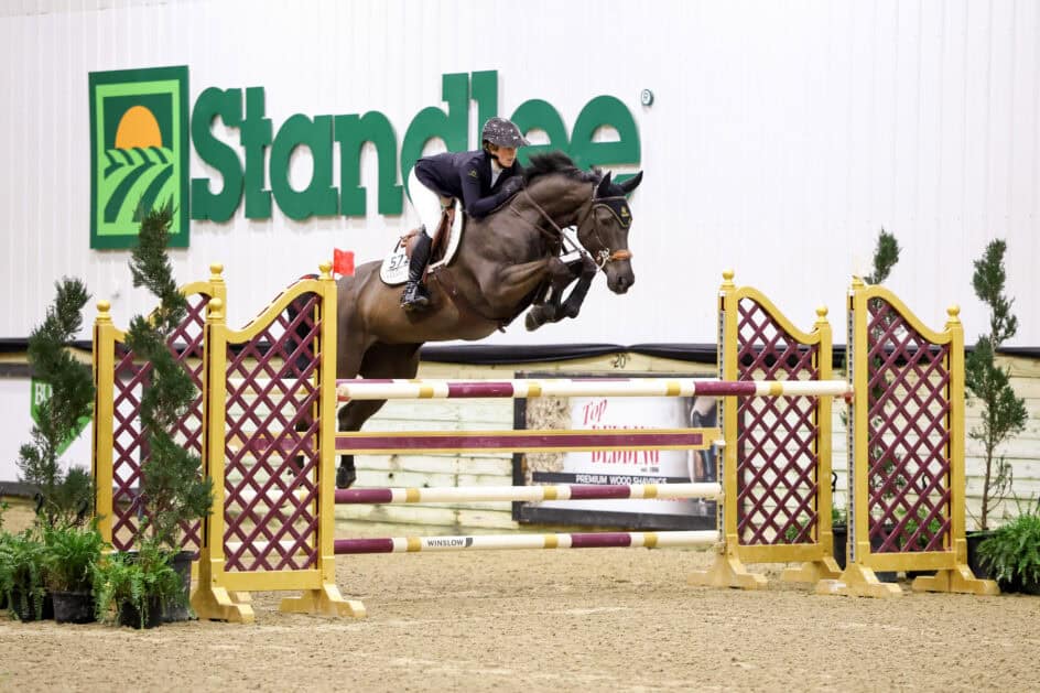 Equestrian rider and horse mid-jump over a hurdle at an indoor arena, with “Standlee” signage in the background.