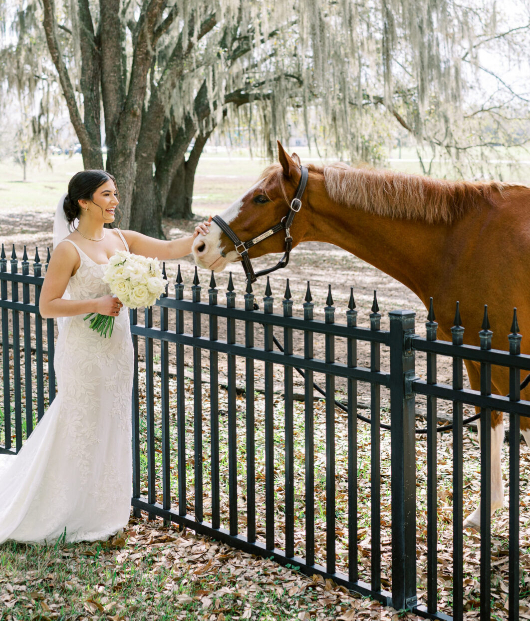 A bride in a white dress stands by a black fence, smiling and holding a bouquet while petting a brown horse. Large trees with hanging moss are in the background.