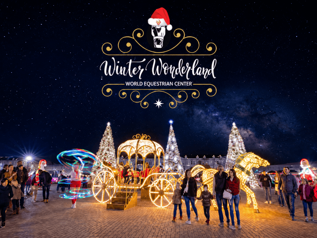 People gather at a festive outdoor Winter Wonderland event at night, featuring illuminated decorations, Christmas trees, and a golden carriage under a starry sky.