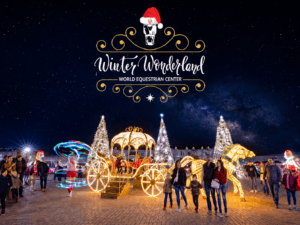 People gather at a festive outdoor Winter Wonderland event at night, featuring illuminated decorations, Christmas trees, and a golden carriage under a starry sky.