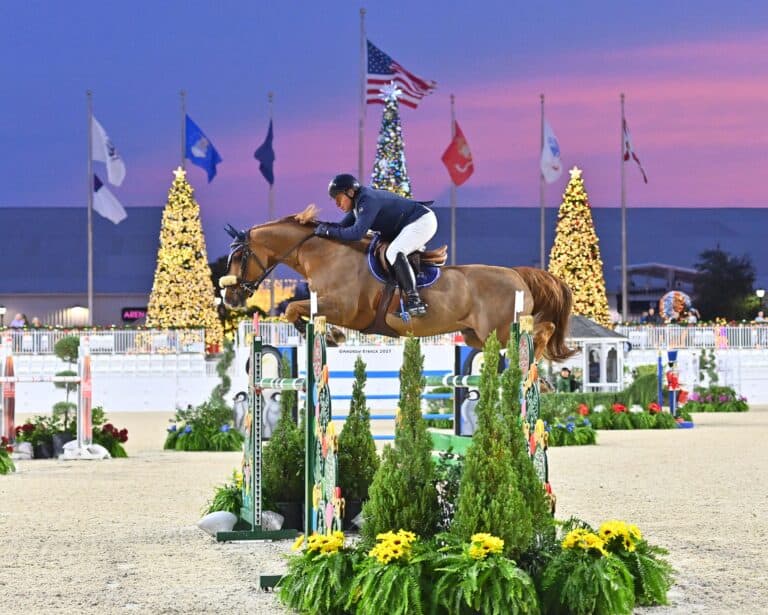 An equestrian rider and horse jump over an obstacle at an outdoor arena decorated with flags and lit Christmas trees during sunset.